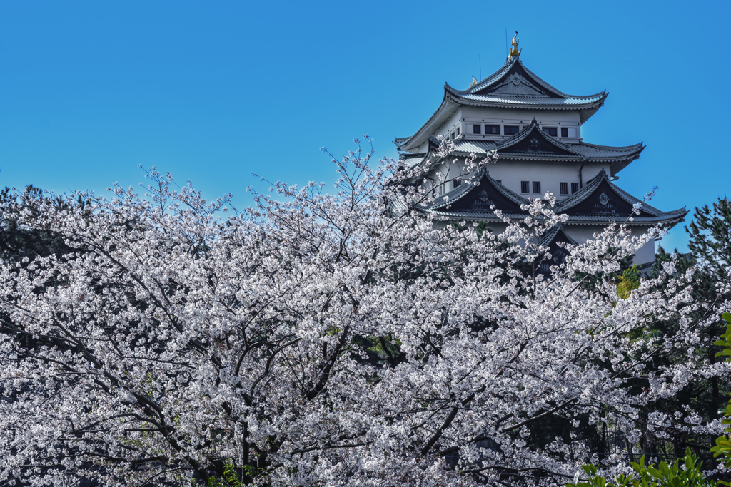 名古屋城