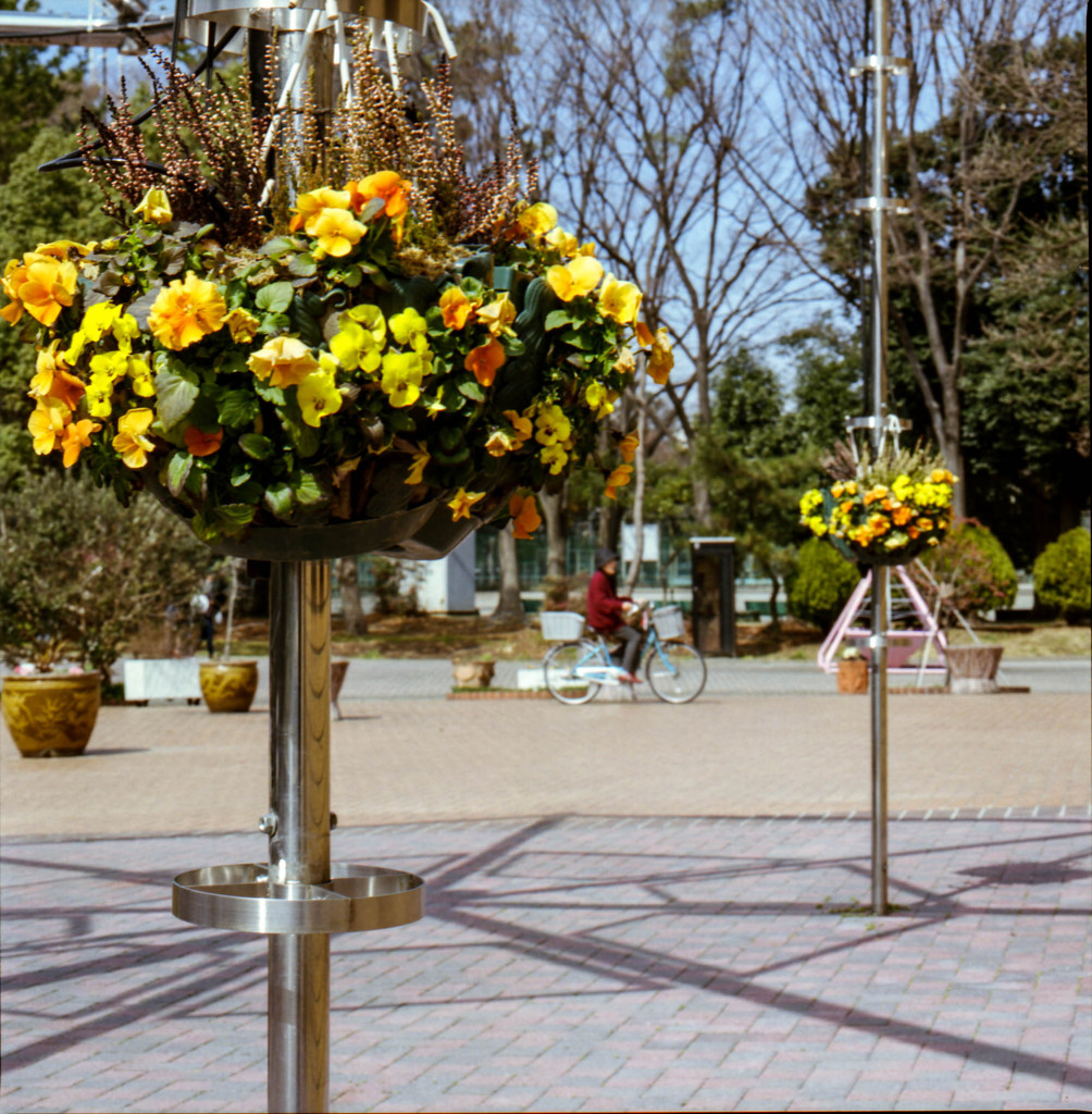 午後の公園