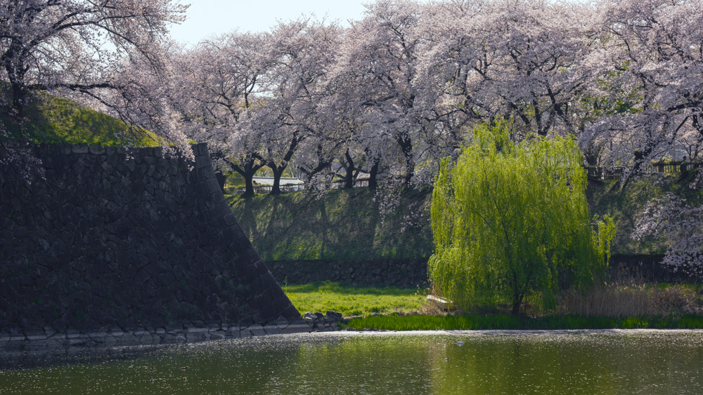 城郭