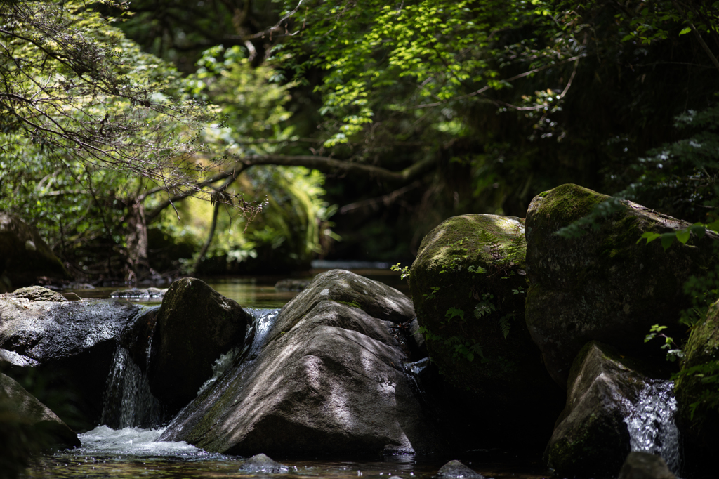 岩屋堂６