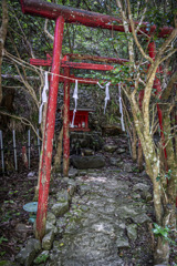 祠