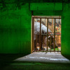 カバ　at NIGHT ZOO