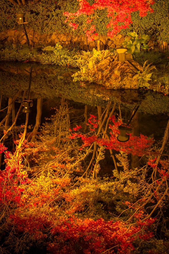 水鏡とはこのこと