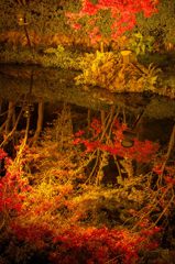 水鏡とはこのこと