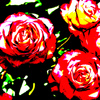 THE ROSE あるいは Andy Warhol