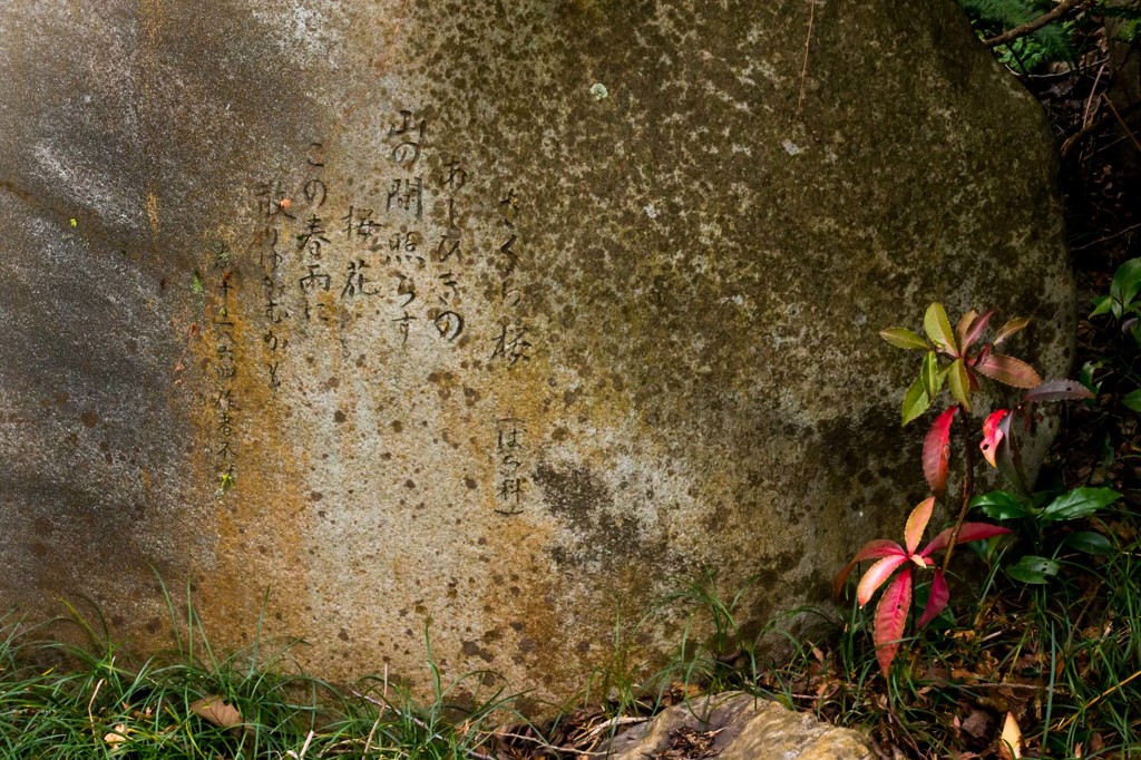 石碑の脇の赤い葉