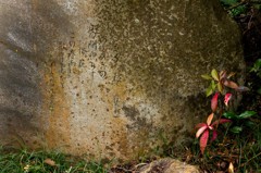 石碑の脇の赤い葉