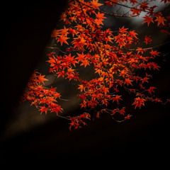 定光寺２