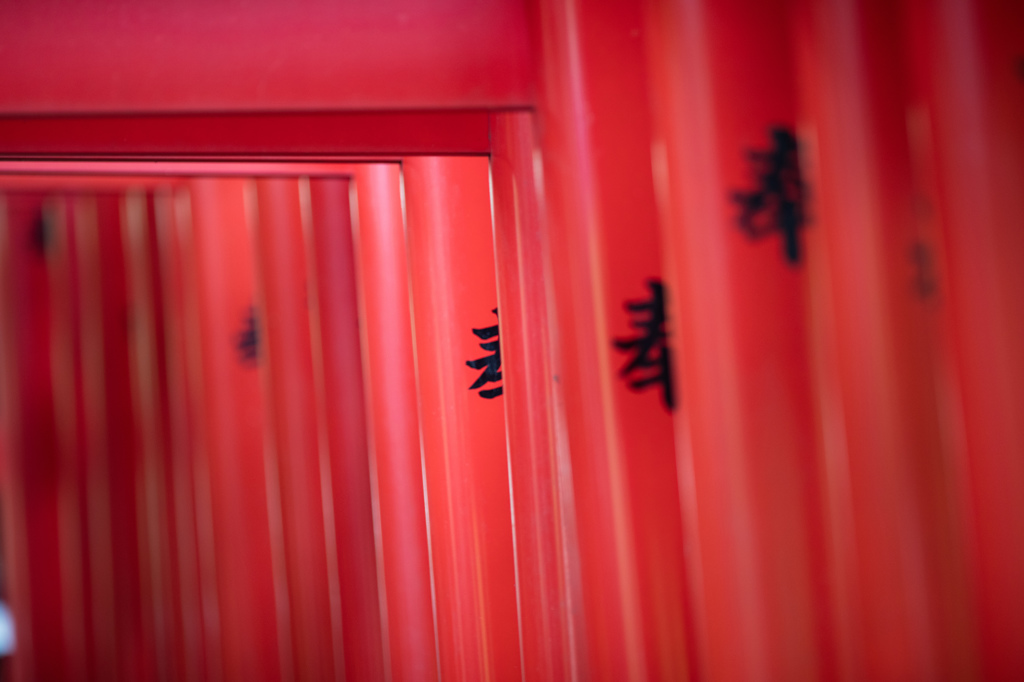 奉