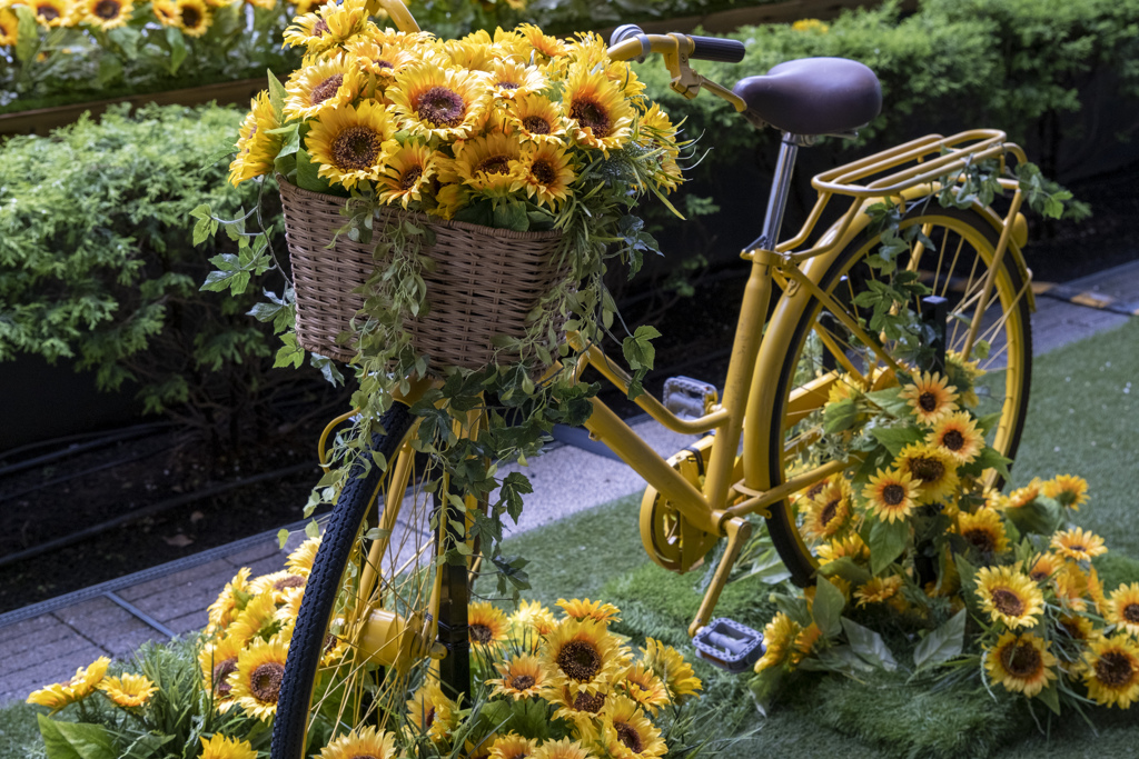 ひまわり自転車 by caprice_pic （ID：11214337） - 写真共有