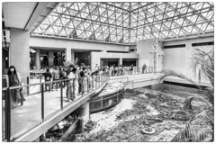 名古屋港水族館