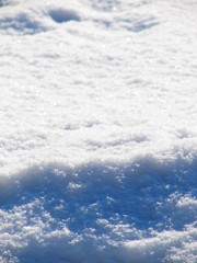 snow　blue