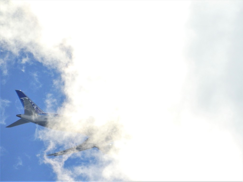 飛行機の写真？