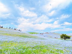きっと素敵な世界が待っている(^o^)丿