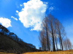 風景