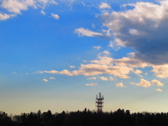 冬の空