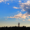 冬の空