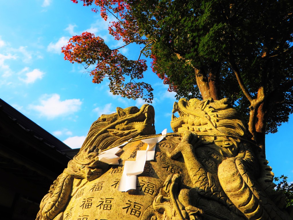 紅葉と福
