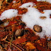 雪解け（赤）