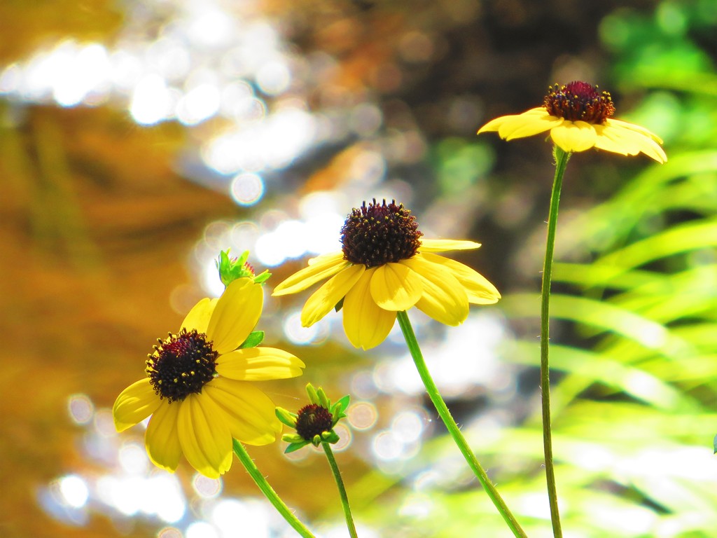 昨日見た風景４