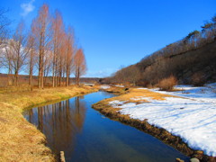 ２０１４年３月に見た風景（散歩道）
