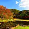 池のほとり