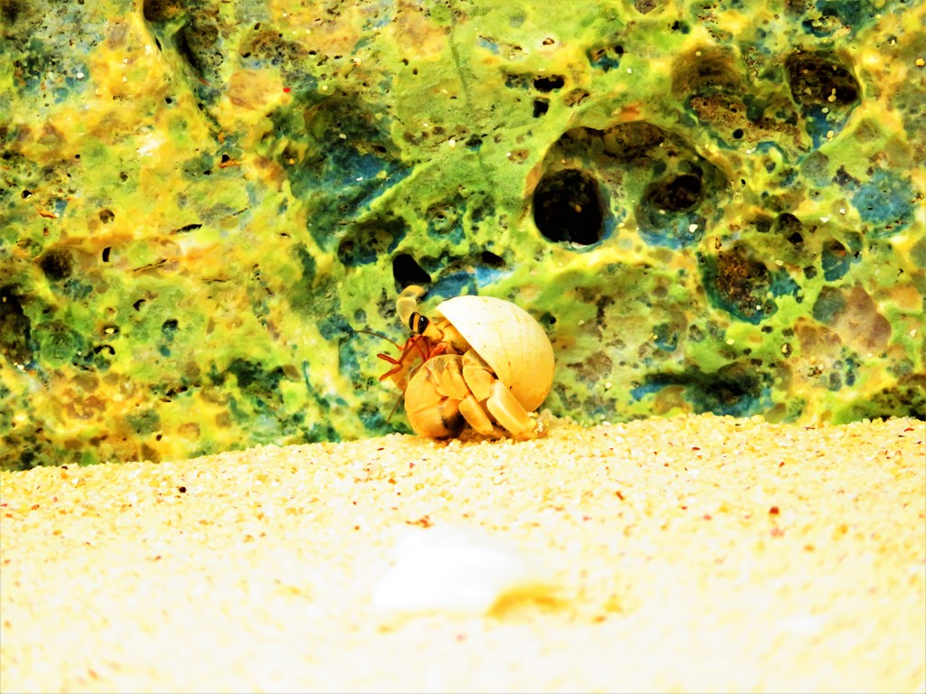 南の島で出会った風景３