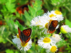 仲良し(^^)いつまでも仲良し(^^)