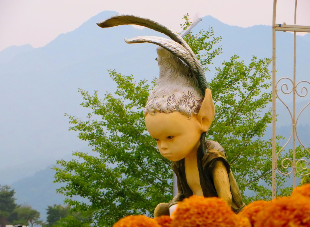 ニングル　見つめる