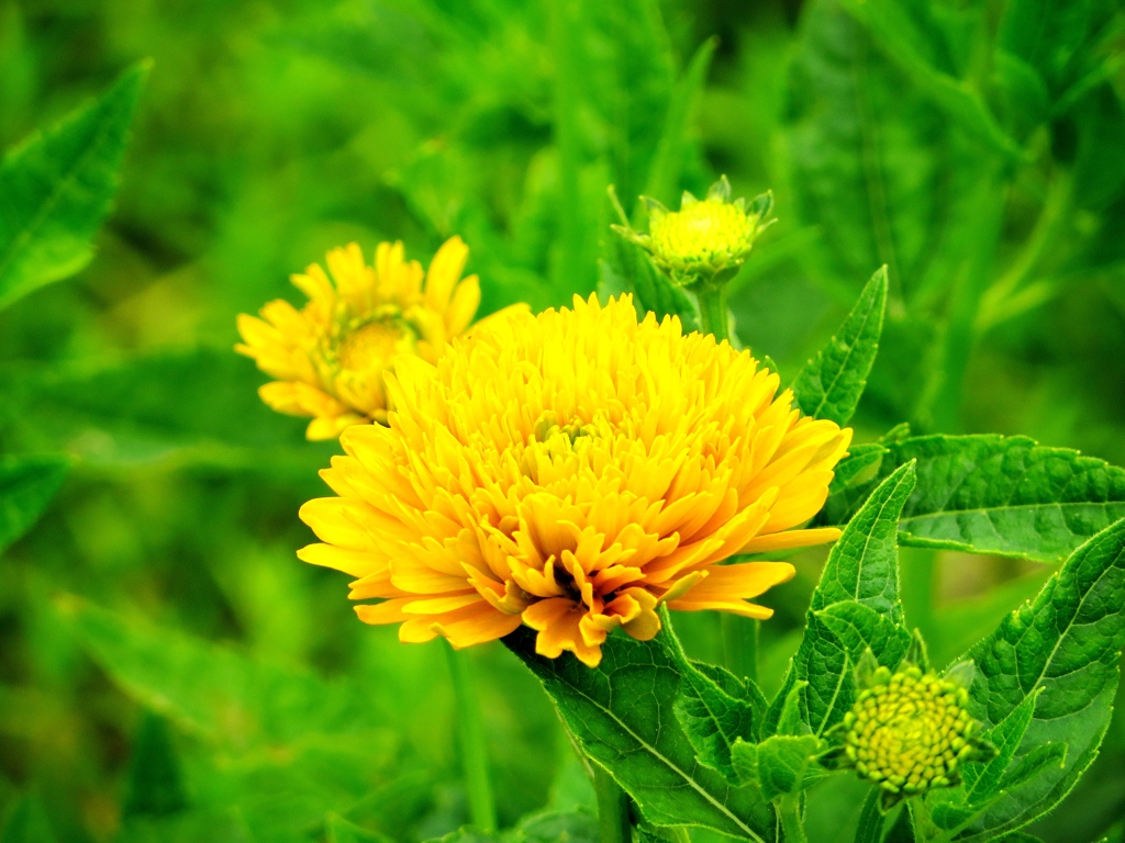 いちばん輝いているとき