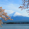 富士山と桜