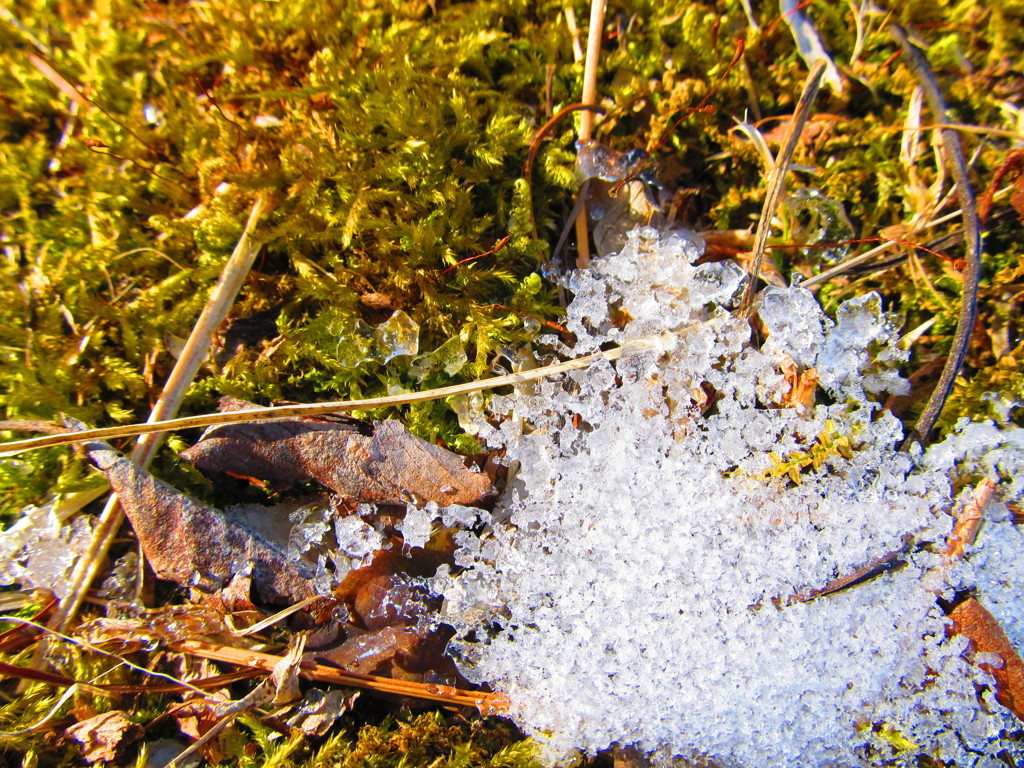 雪解け（緑）