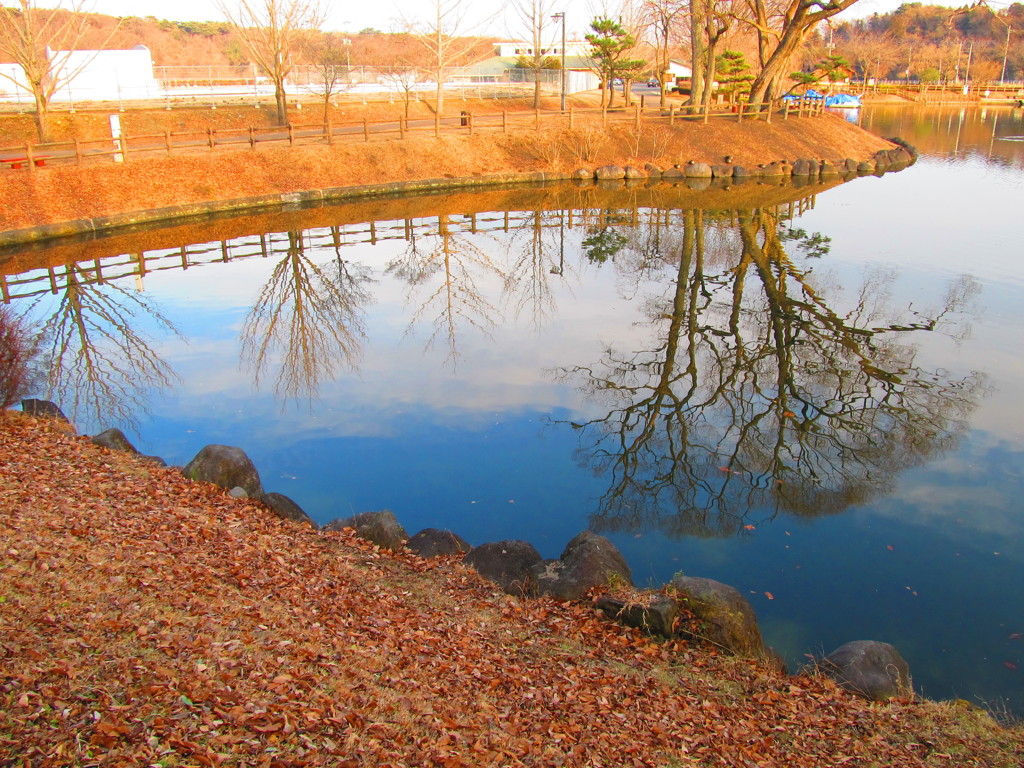 水に映った風景