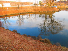 水に映った風景