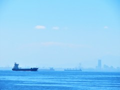 東京湾　青