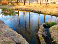 水に映った風景