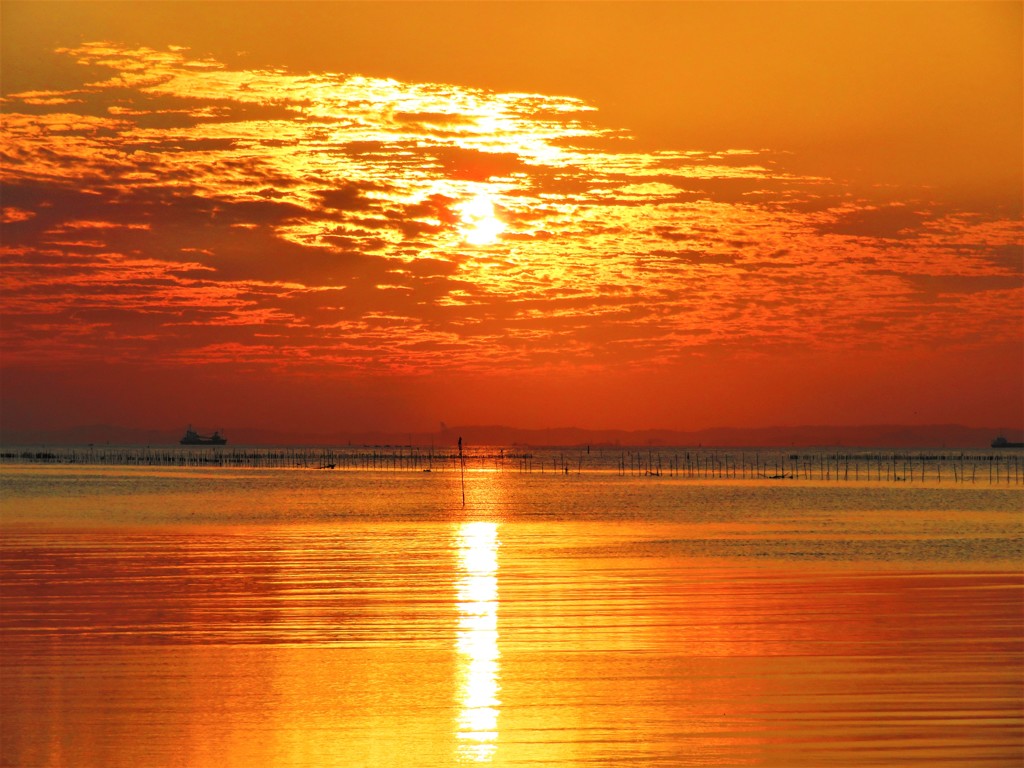 東京湾　夕景　黄金色