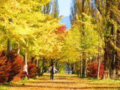 お散歩したくなる風景