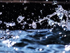 今興味のあるもの　水２