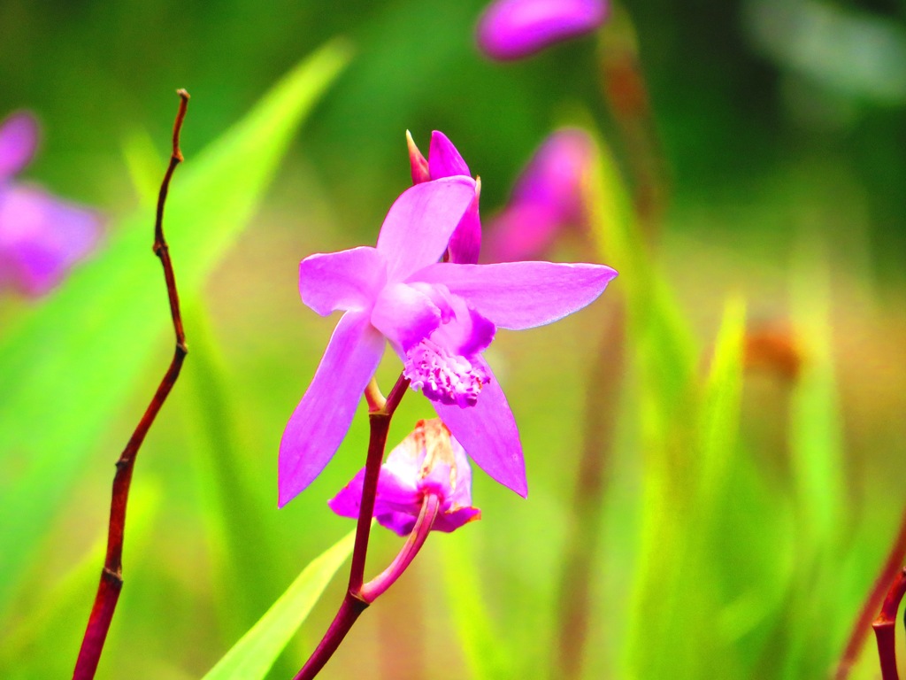 精一杯かがやいてるね