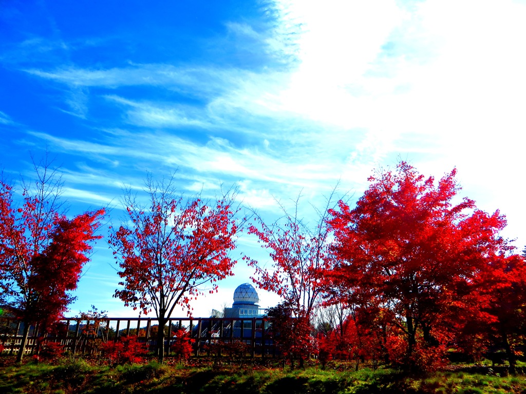 紅葉とレーダードーム