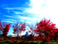 紅葉とレーダードーム