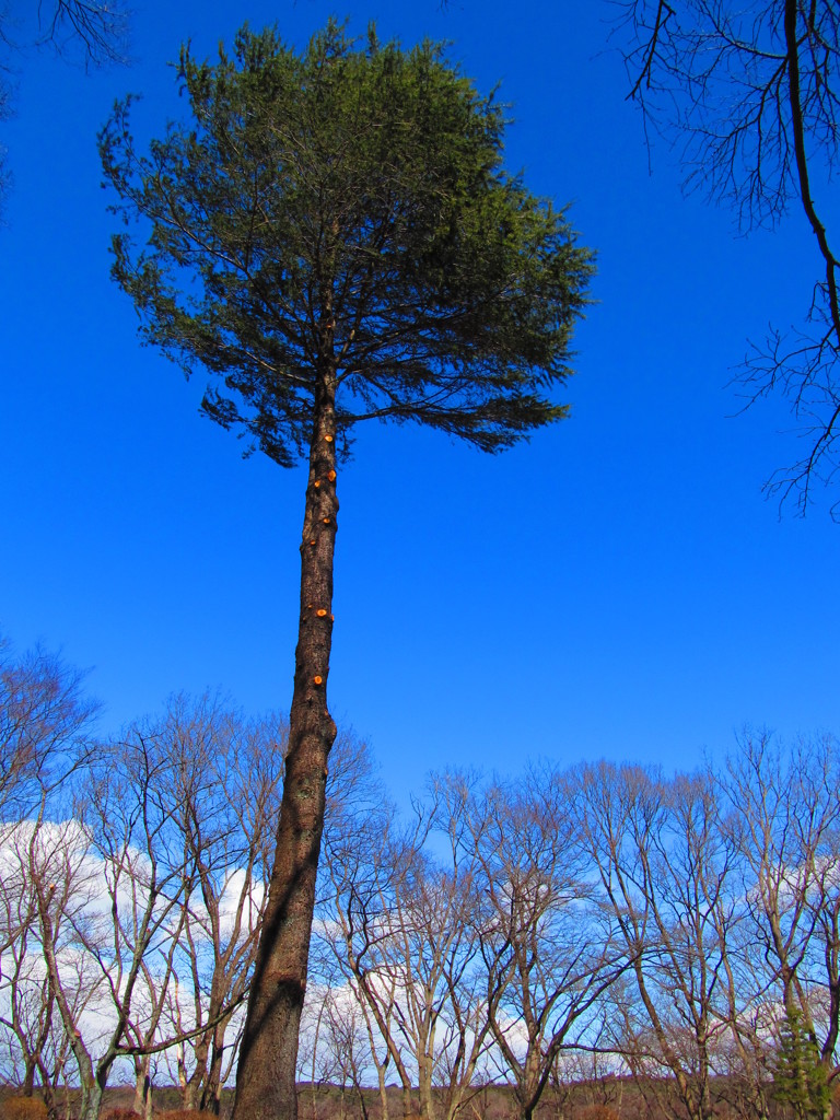 きになる風景