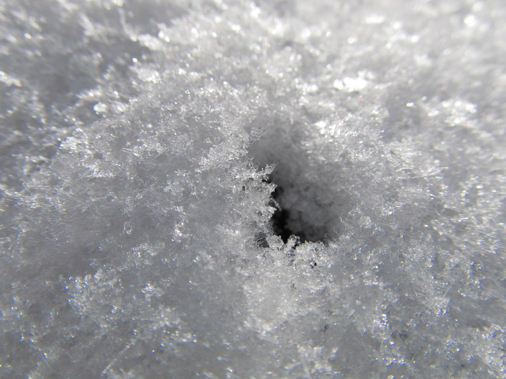 雪