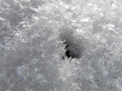 雪