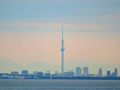 東京湾　スカイツリー