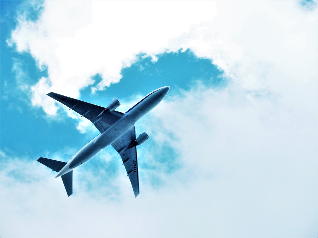 飛行機