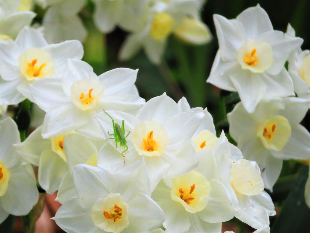 雨の日だけど　春５