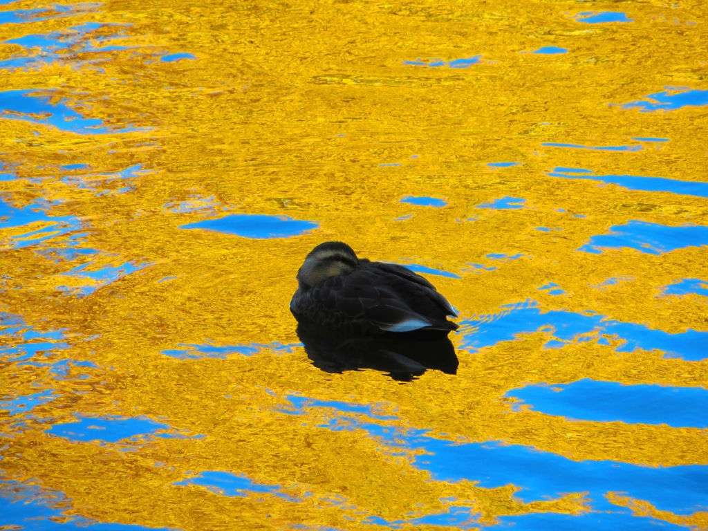 輝きの中でおやすみ