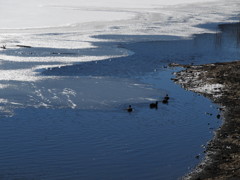 雪解けが待ち遠しいね